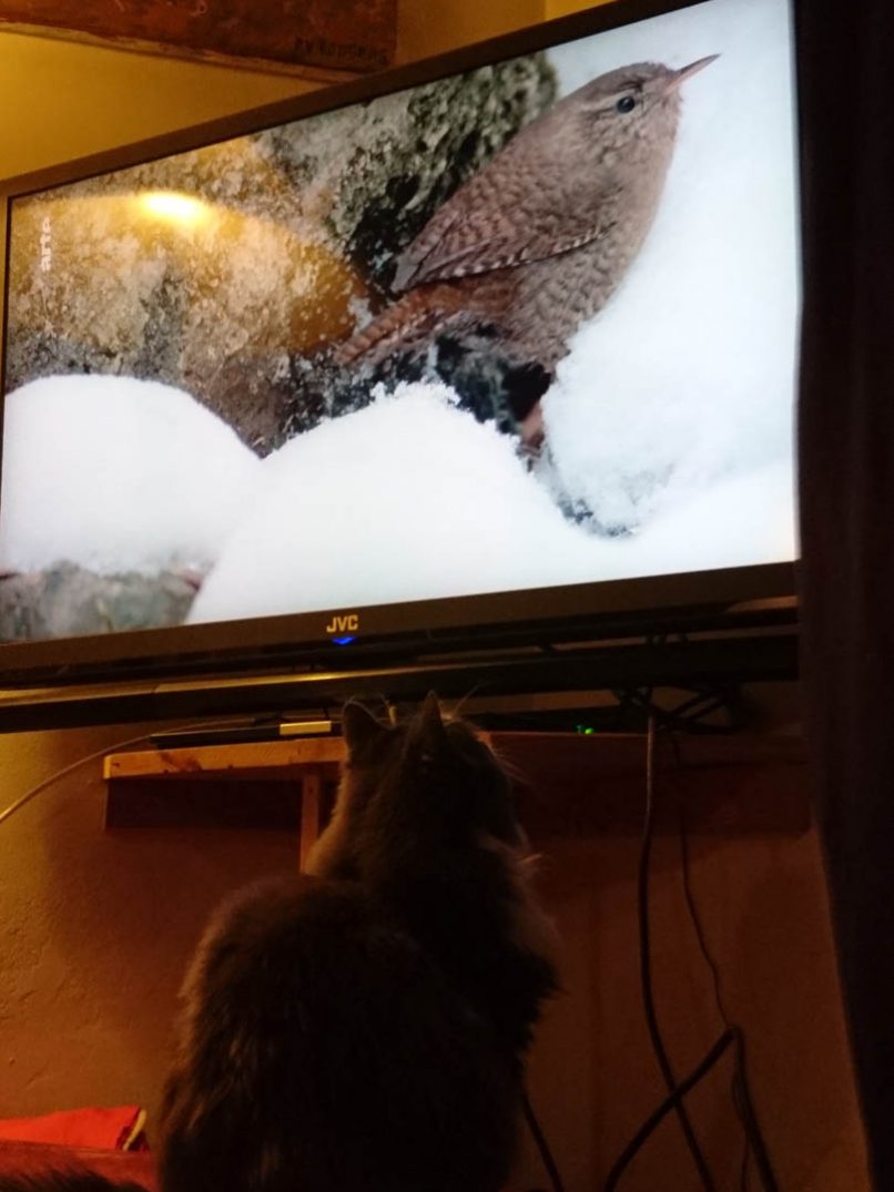 FRANCK REINHARDT PHOTOS 06